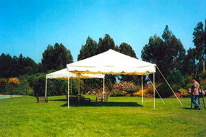 Thumbnail Placeholder