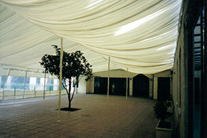 Thumbnail Placeholder