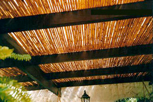 Thumbnail Placeholder