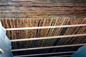 Thumbnail Placeholder