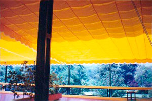 Thumbnail Placeholder